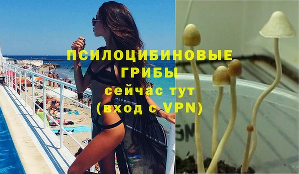 тгк Балахна