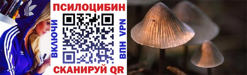 Галлюциногенные грибы MAGIC MUSHROOMS  хочу наркоту  мега онион  Кузнецк 