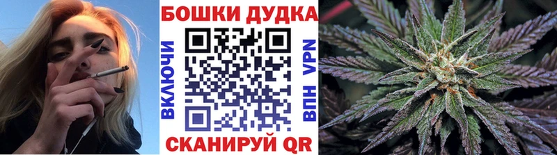 Бошки марихуана THC 21%  Кузнецк 